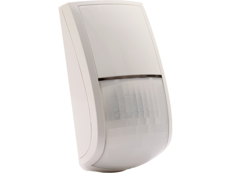 Bware Quad BUS Grad 2